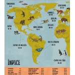 A vida selvagem na cidade