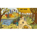 A vida selvagem na cidade