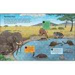 50 Razões para Gostares de Animais em Perigo