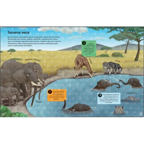 50 Razões para Gostares de Animais em Perigo