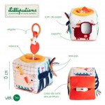 CUBO DE ACTIVIDADES MUSICAL - QUINTA