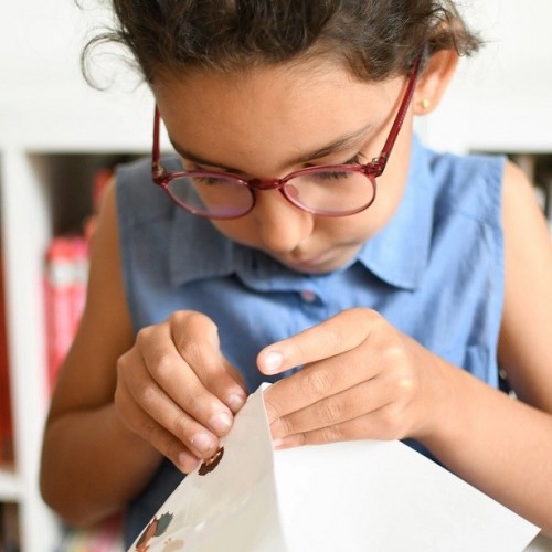 DISCOVERY FARM | POSTER + STICKERS