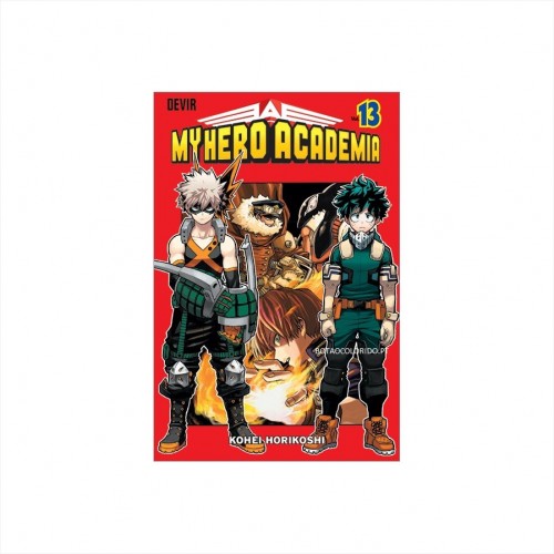 My Hero Academia 13
