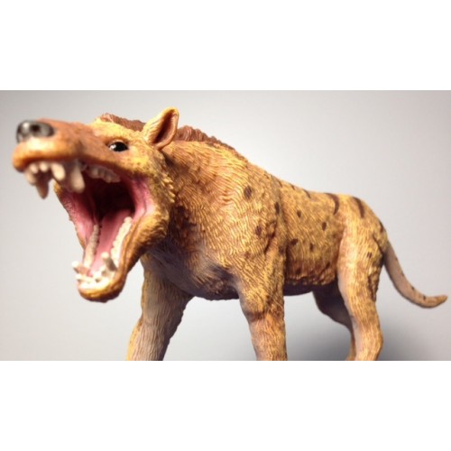 Andrewsarchus - escala 1:20