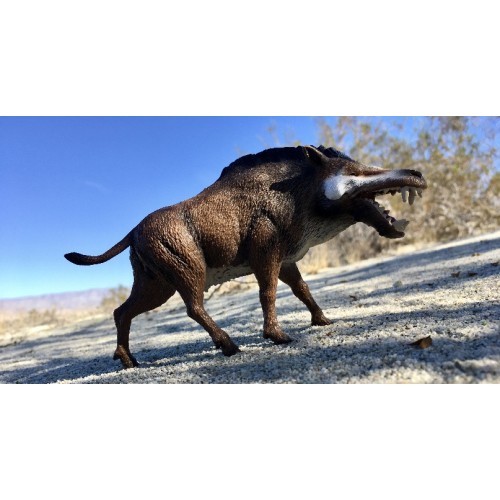 Daeodon - escala 1:20