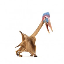 Hatzegopteryx