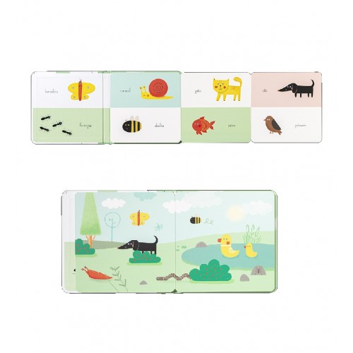 LIVRO ACORDEÃO - JARDIM