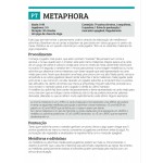 METAPHORA - JOGO DE ACÇÃO