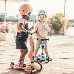 HIGHWAYKICK 1-5 | ROSA