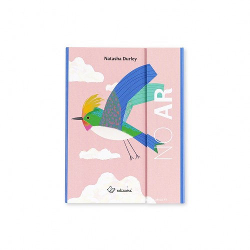 LIVRO ACORDEÃO - NO AR