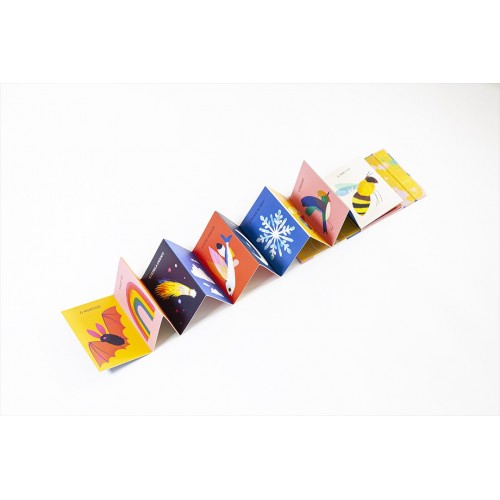 LIVRO ACORDEÃO - NO AR