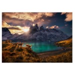 AvH GUANACOS- PUZZLE