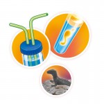 VULCÕES E DINOSSAUROS | 15 EXPERIÊNCIAS