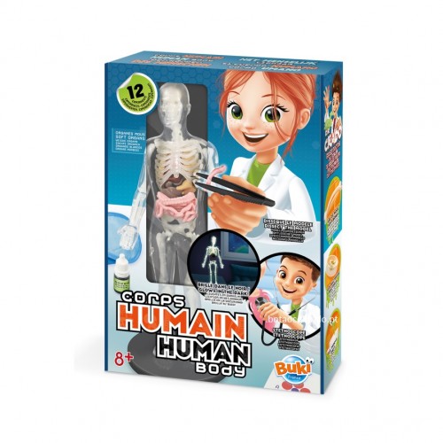 CORPO HUMANO COM ORGÃOS