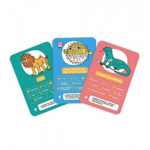 VAMOS JOGAR AOS ANIMAIS