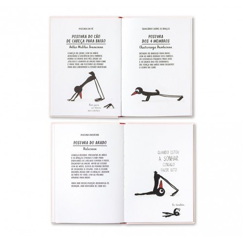 IOGA PARA DESAJEITADOS