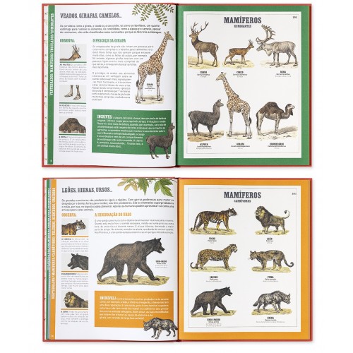 O GRANDE LIVRO DOS ANIMAIS