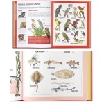 O GRANDE LIVRO DOS ANIMAIS