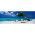 DIVI DIVI TREE - PUZZLE