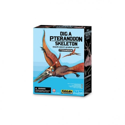 Explora os dinossauros Pteranodon - KidzLabs