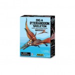 Explora os dinossauros Pteranodon - KidzLabs