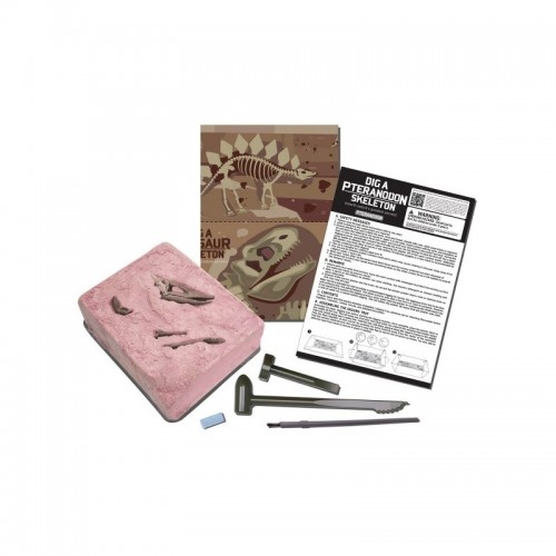 Explora os dinossauros Pteranodon - KidzLabs