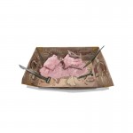 Explora os dinossauros Pteranodon - KidzLabs