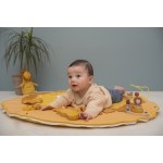 Tapete de Actividades com arco - MR LION