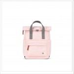 CANFIELD B - ENGLISH ROSE S