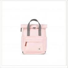 CANFIELD B - ENGLISH ROSE S