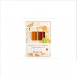 ANIMAIS (CORES TERRA) - CAIXA DE 12 LÁPIS + 3 CARTÕES