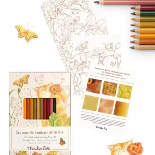 ANIMAIS (CORES TERRA) - CAIXA DE 12 LÁPIS + 3 CARTÕES