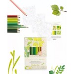 NATUREZA (CORES NATUREZA) - CAIXA DE 12 LÁPIS + 3 CARTÕES