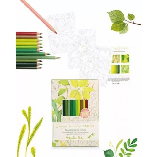 NATUREZA (CORES NATUREZA) - CAIXA DE 12 LÁPIS + 3 CARTÕES