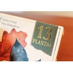 13 PLANTAS - JOGO