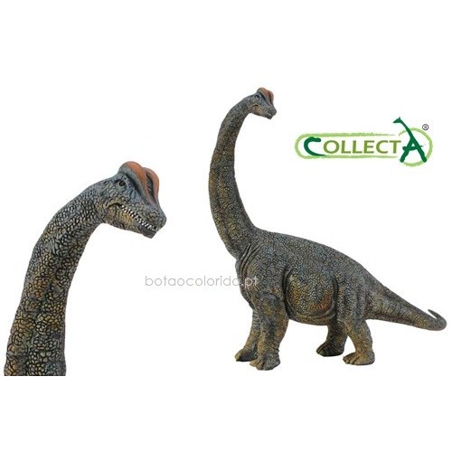 Brachiosaurus - escala 1:40